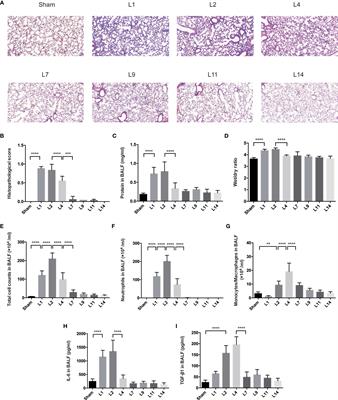 Interleukin-33-Dependent Accumulation of Regulatory T Cells Mediates Pulmonary Epithelial Regeneration During Acute Respiratory Distress Syndrome